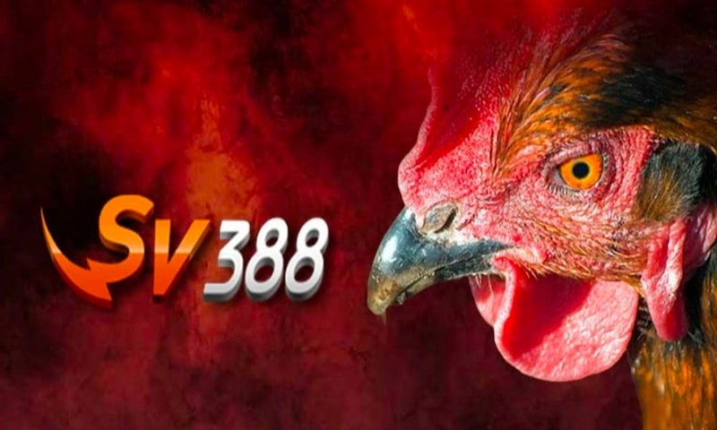 Đăng nhập SV388 – Trải Nghiệm Cá Cược Gà Đá Đỉnh Cao Và An Toàn Nhất Hiện Nay