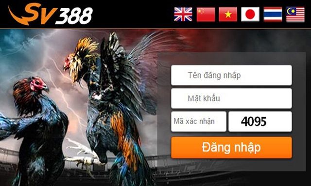 Đăng nhập SV388 – Trải Nghiệm Cá Cược Gà Đá Đỉnh Cao Và An Toàn Nhất Hiện Nay